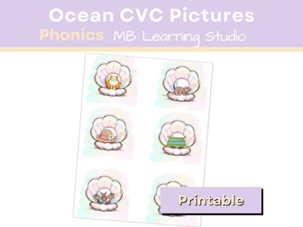 CVC Pictures  in Shells | Phonics Activity for EYFS, KS1, Pre-K, Kindergarten