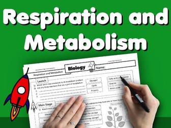 Respiration and Metabolism Worksheet GCSE