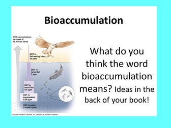 Bioaccumulation