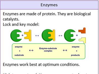 Key concepts in Biology - KO