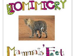 STEM - Biomimicry for Young Children - Mammals' Feet and Legs