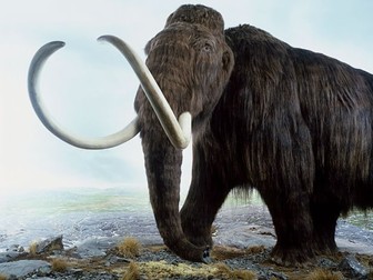 Stone Age Animals - Fact Files