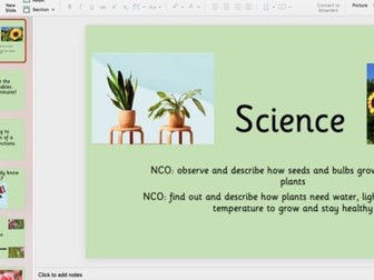 Year 2 Science Plants lesson