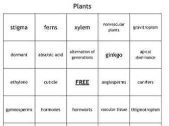 "Plants" Bingo for a Middle School Science Course