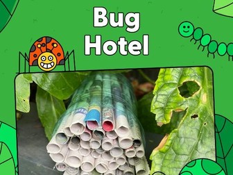 Activity - Bug Hotel
