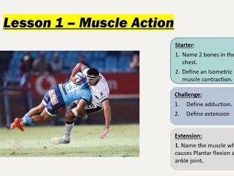 AQA GCSE PE - Muscle Action