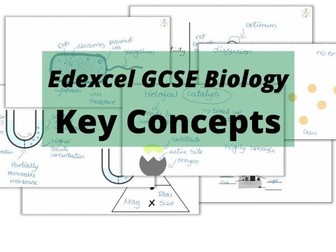 Edexcel Biology Paper 1 Revision Bundle