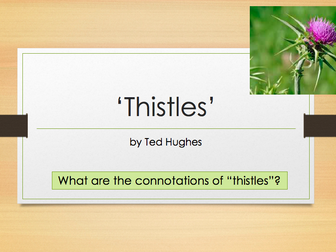 Ted Hughes - Thistles