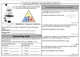 GCSE Biology: Calculating Magnification and Size of Specimens