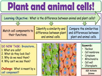 Plant and Animal Cells KS3 Activate Science