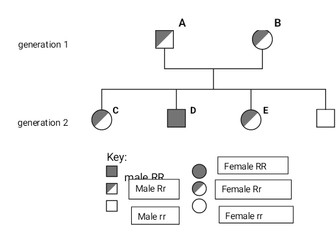 Cambridge IGCSE Biology worksheet on genetics for IGCSE biology teachers and year 10-12 learners