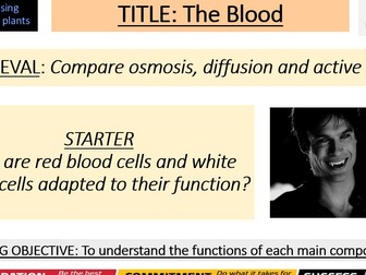 B4 Organising Animal and Plants AQA GCSE