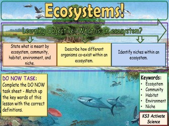 Ecosystems KS3 Activate Science