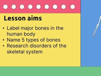 T Level Health - The Skeletal System