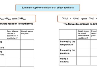 Dynamic Equilibrium activities to understand