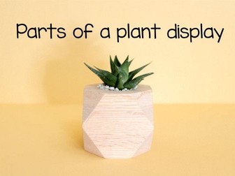 Parts of a plant display