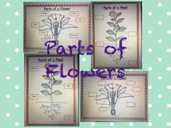 Parts of Flowers and Plants - Labeling