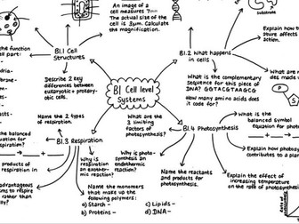 B1 Biology Revision Mindmap