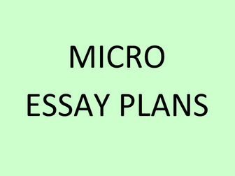 Microeconomics essay plans