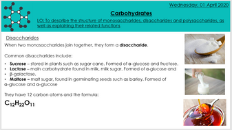 Carbohydrates make up the largest volume of our daily food image