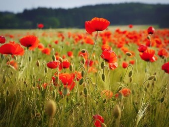 Journey's End key context