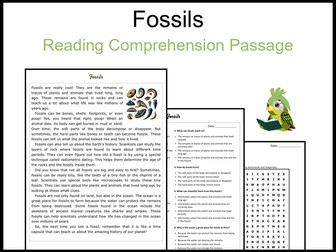 Fossils Reading Comprehension and Word Search