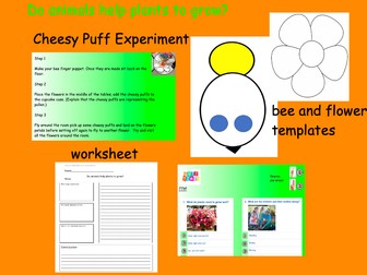 Do animals help plants to grow? Cheesy Puff Experiment - Pollination