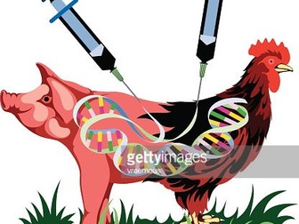 Genetic Engeneering (IGCSE, MYP, DP, and A level) .....................GMO