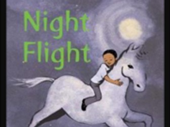 Night Flight by Michaela Morgan - Unit of Work