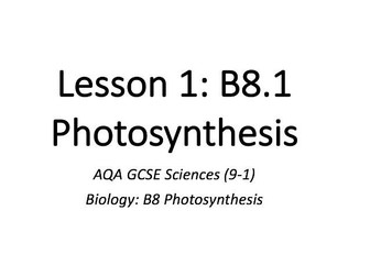 B8.1 Photosynthesis