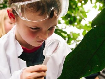 Working Scientifically Lesson Plan: Learning with Leaves