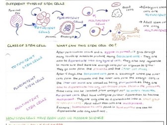 EDEXCEL A LEVEL BIOLOGY UNIT 3 STUDENT NOTES (Salters-Nuffield)