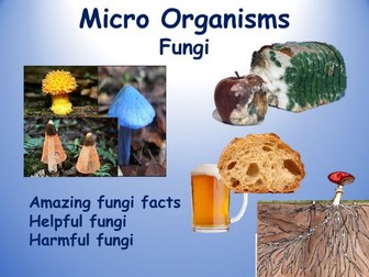 Micro organisms - 5. Fungi (PowerPoint, Worksheets and Videos)  Micro organisms - 5. Fungi (PowerPoi