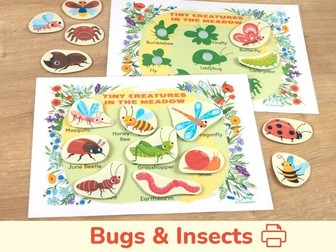 Little Creatures: Bugs & Insects Shadow Matching Activitiy. Toddler Preschool Match Activity
