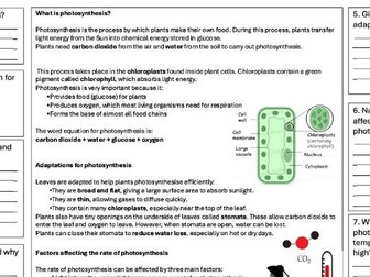 KS3 Photosynthesis Comprehension sheet