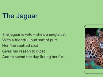 Rainforest Poetry Unit - 1 week + additional homeworks