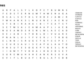 Bone and Muscles wordsearches
