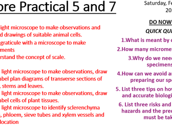 IAL Edexcel Biology Core Practical 5 and 7 Lessons in one