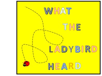 Large selection of 'What the Ladybird Heard' Worksheets.