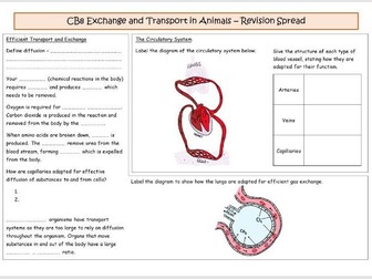 CB8 Exchange and Transport in Animals