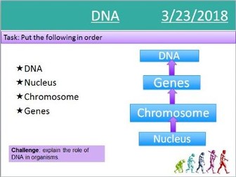 AQA GCSE Biology (Triology) DNA Lessons
