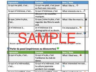 Ce qui me plaît – Varying French opinions for writing + speaking - detailed worksheet / activities