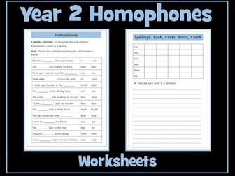 Year 2 Homophones Worksheet