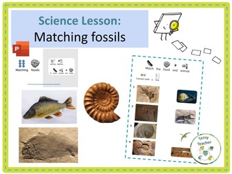 SEN Science Lesson: Matching fossils and animals