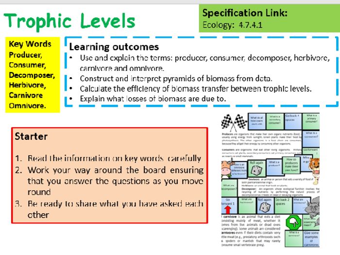 New AQA GCSE Biology Trophic Levels Lesson | Teaching Resources