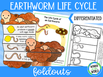 Life cycle of an earthworm foldable craft activity