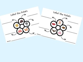 Label the Petals - CVC Writing