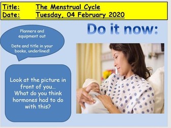 GCSE - The Menstrual Cycle