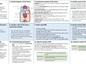 OCR A Level PE Cardiovascular & Respiratory System Topic Summaries