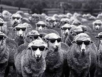 AQA Psychology Conformity / Social influence